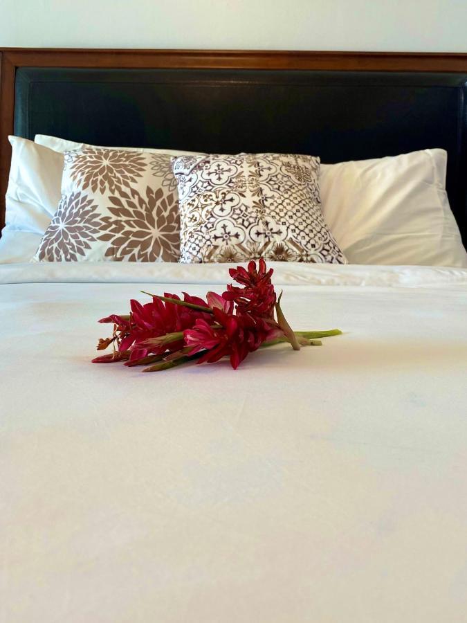 La Vista Azul Resort - Studio Turtle Cove 외부 사진